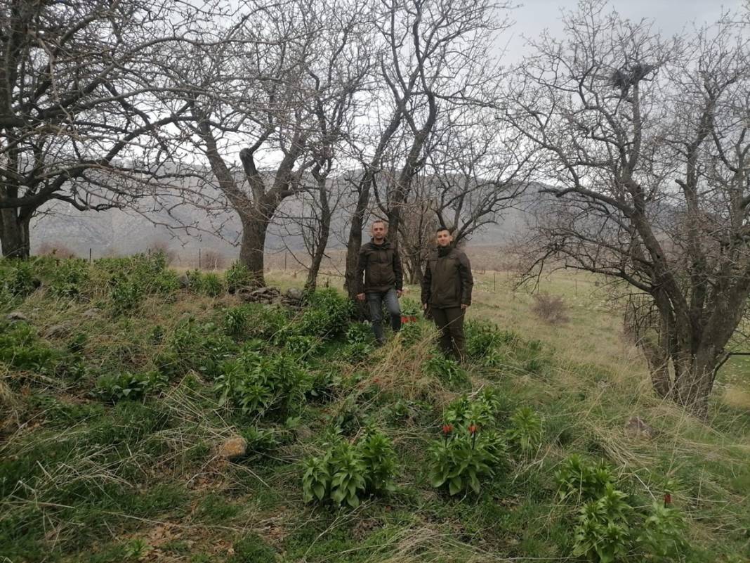 Bu insanlar neye bakıyor? Gece-gündüz nöbet tutuyorlar, ilk kez görenler şaştı kaldı! 56